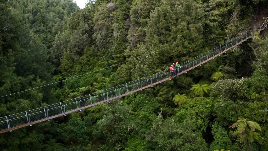 A long rope bridge hangs over a densely forested portion of land managed by ecotourism company, Rotorua Canopy Tours. 